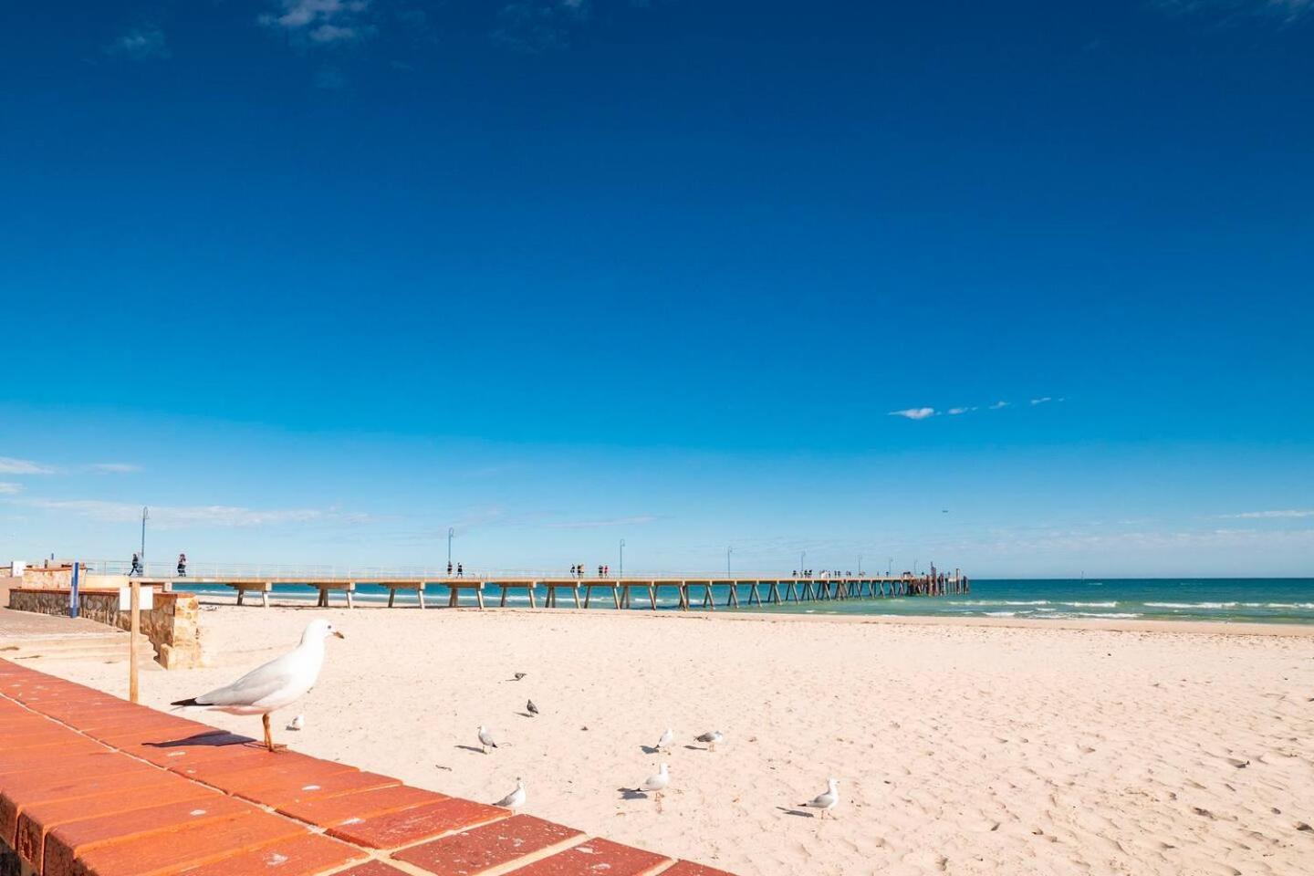 "Ocean Sunset" Glenelg Central Studios Exterior foto